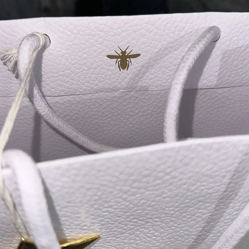Dior Purchase Bag with Ribbon - Picture 6 of 6